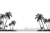 Palm tree backgrounds outdoors nature.