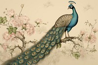 Illustration of peacock with flower animal bird fragility.