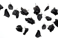 Black rose petals leaf white background accessories.