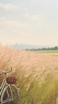 Aesthetic field with bicycle landscape wallpaper grassland outdoors vehicle.
