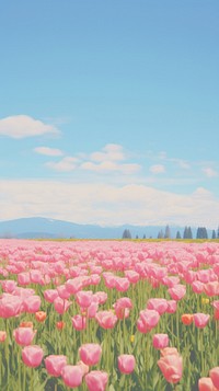 Aesthetic tulip field landscape wallpaper outdoors blossom nature.