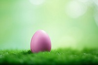 Easter egg celebration fragility freshness. AI generated Image by rawpixel.