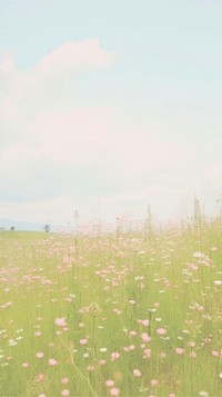Esthetic floral field landscape wallpaper grassland outdoors pasture.