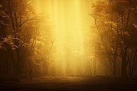  Forest landscape backgrounds sunlight. AI generated Image by rawpixel.