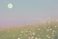 Flower filed moon grassland landscape.