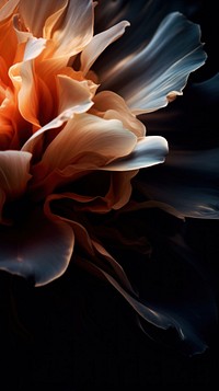 Flower pattern petal inflorescence. AI generated Image by rawpixel.