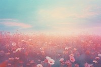  Flower field backgrounds outdoors blossom. AI generated Image by rawpixel.