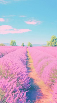  Lavender field outdoors blossom nature. AI generated Image by rawpixel.