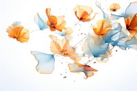 Wild flowers petals backgrounds pattern white background.