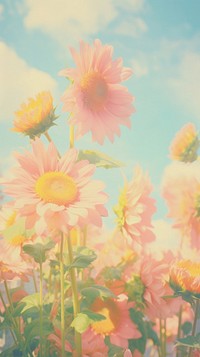  Sunflower outdoors blossom nature. AI generated Image by rawpixel.