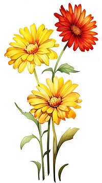 Daisy vertical group bouquet sunflower dahlia petal.