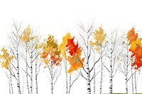 Birches in autumn landscapes birch backgrounds outdoors.