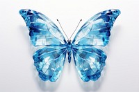 Butterfly shape animal insect white background.
