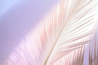  Palm leaves backgrounds outdoors nature. AI generated Image by rawpixel.