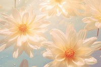  Minimal aesthetic background holography flower backgrounds blossom. AI generated Image by rawpixel.