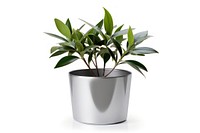 House Plant Chrome material plant vase leaf.