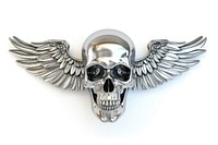 Skull with wings Chrome material silver bird white background.