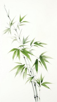 Bamboo plant leaf creativity.