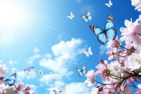 Blue sky and butterflies outdoors blossom nature.