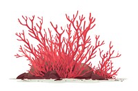 Red algae outdoors nature plant.