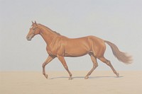 Horse stallion animal mammal.
