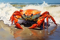 Crab lobster seafood animal.