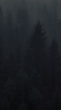  Dark pine forest outdoors nature tranquility. AI generated Image by rawpixel.