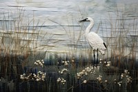White bird in Marsh outdoors animal land.