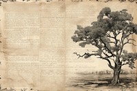 Oak tree border page backgrounds plant.