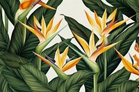  Strelitzia frame pattern backgrounds nature. AI generated Image by rawpixel.