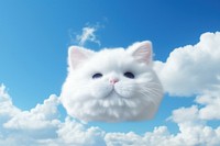 Cat shaped as a cloud sky outdoors animal.