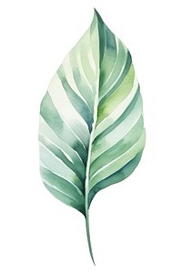 Leaf plant white background pattern. AI generated Image by rawpixel.
