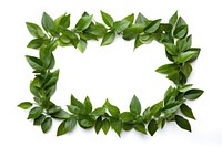 Frame of mini green leaves with center space wreath plant leaf. AI generated Image by rawpixel.