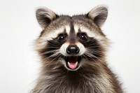 Smiling raccoon mammal animal pet. AI generated Image by rawpixel.
