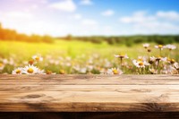 Summer wild flower fields wood landscape outdoors. AI generated Image by rawpixel.