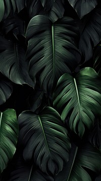  Black tropical leaves tropics plant leaf. AI generated Image by rawpixel.