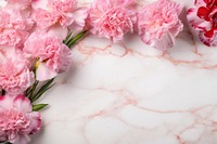 Pink carnation flowers marble petal plant.