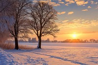 Idyllic winter landscape outdoors nature sunset.