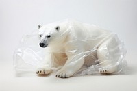 A polar bear wildlife plastic animal.
