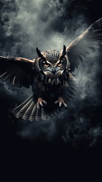  Owl flying in the sky animal black bird. AI generated Image by rawpixel.