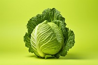 Cabbage food vegetable plant. 