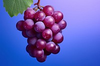 Grape grapes food fruit. AI generated Image by rawpixel.