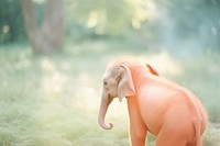 A baby elephant wildlife animal mammal. AI generated Image by rawpixel.