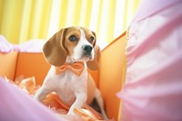 A beagle in a gift box animal mammal hound. AI generated Image by rawpixel.