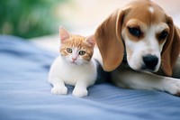 A beagle with a cat animal mammal kitten. AI generated Image by rawpixel.