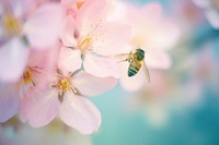 A bee outdoors blossom flower. AI generated Image by rawpixel.