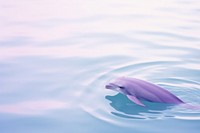 A dolphin animal purple fish.