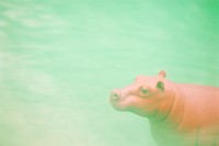 A hippo wildlife animal mammal. AI generated Image by rawpixel.