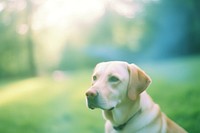 A labrador animal mammal puppy. AI generated Image by rawpixel.