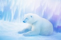 A polar bear wildlife outdoors animal. AI generated Image by rawpixel.